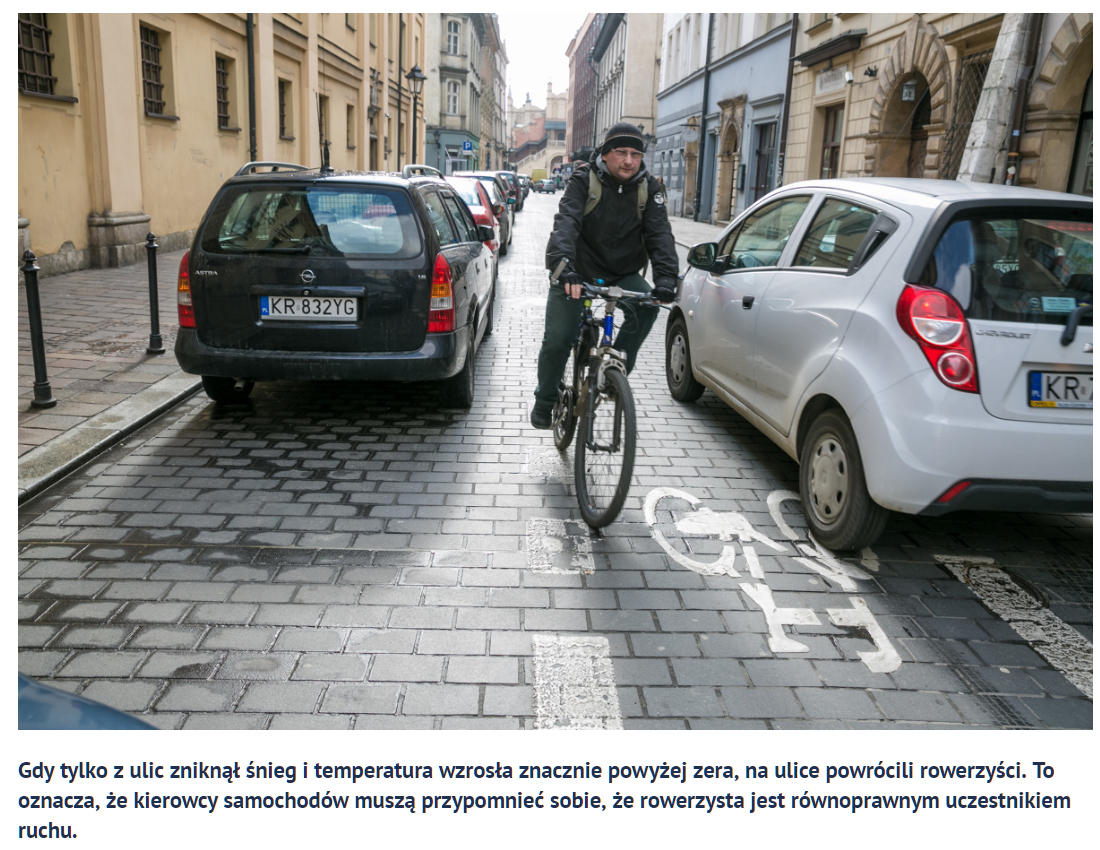 Bicyclist riding in bikelane/ door zone on cobbled Polish street beside, parked & driving cars, illustration for Dutch Reach story.